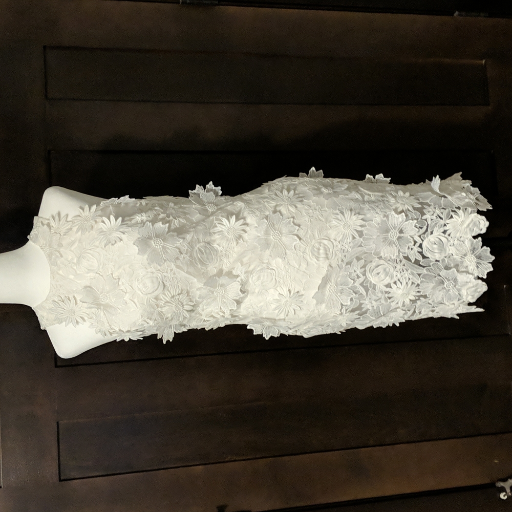 Aida Ivory intricate floral dress